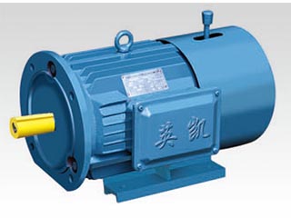 YEJ系列電磁制三相異步電動(dòng)機(jī)